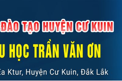 Hoạt động Đội TNTPHCM